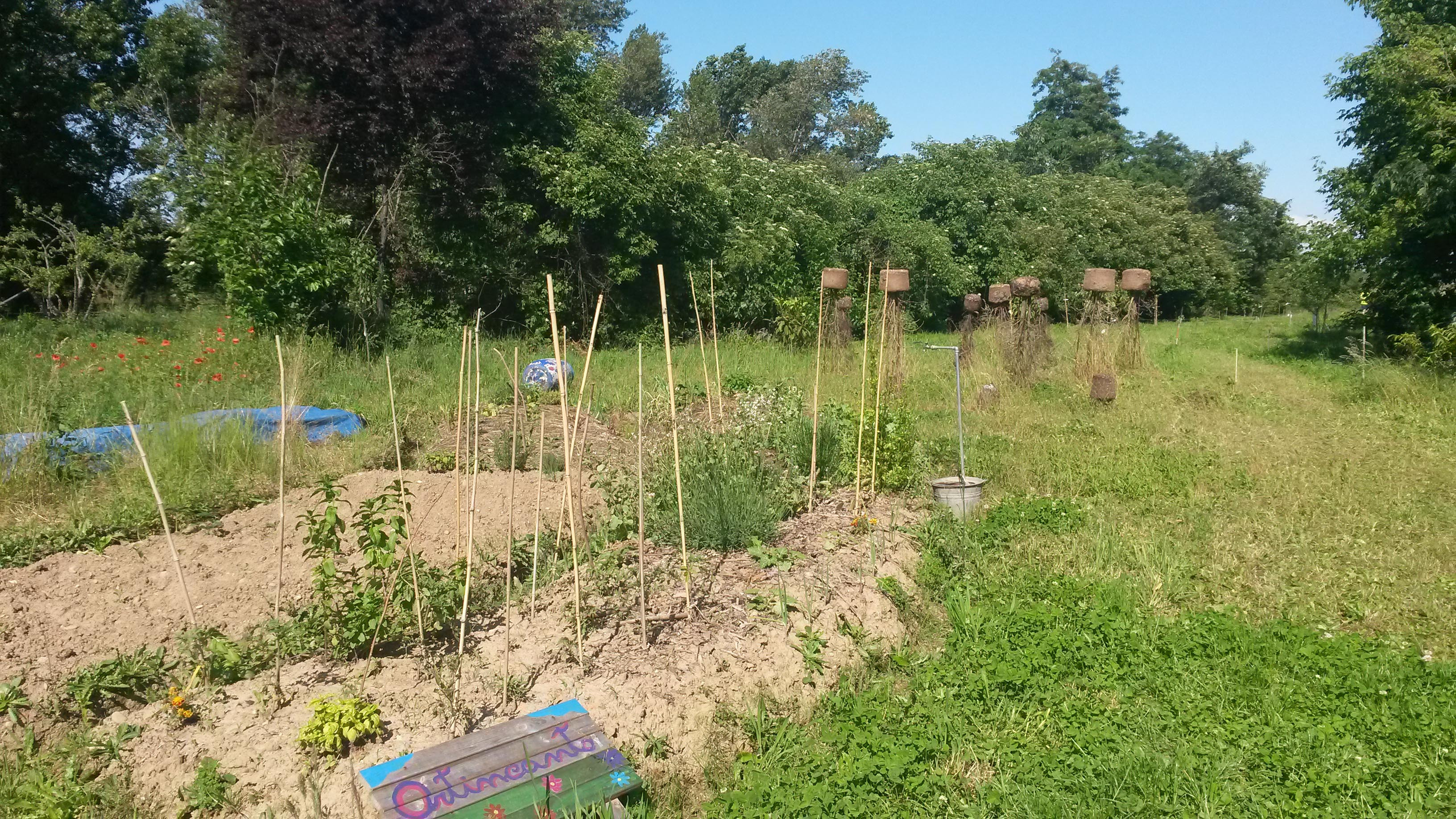 GreenCityMilanoLambrate4