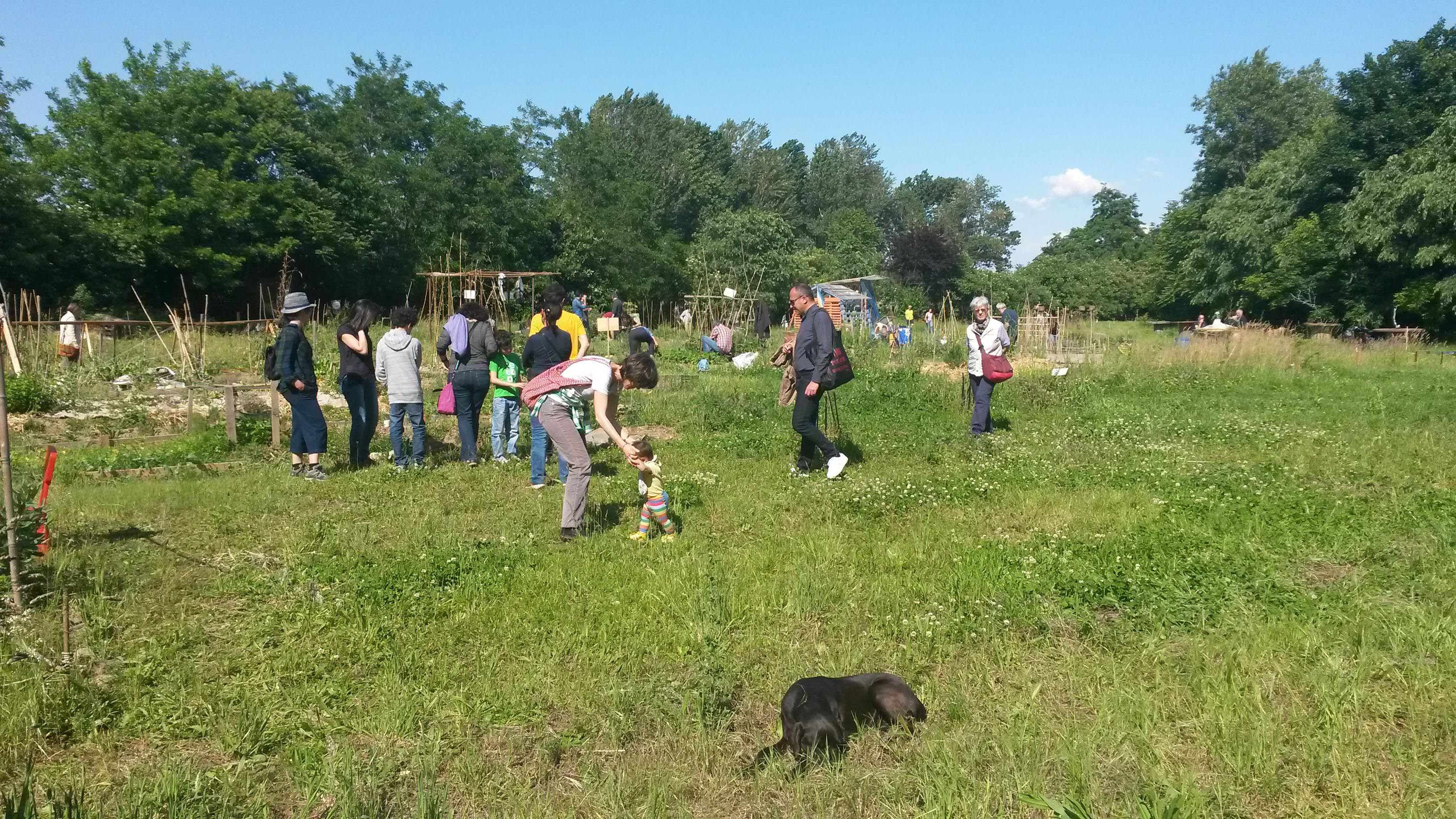 GreenCityMilanoLambrate5