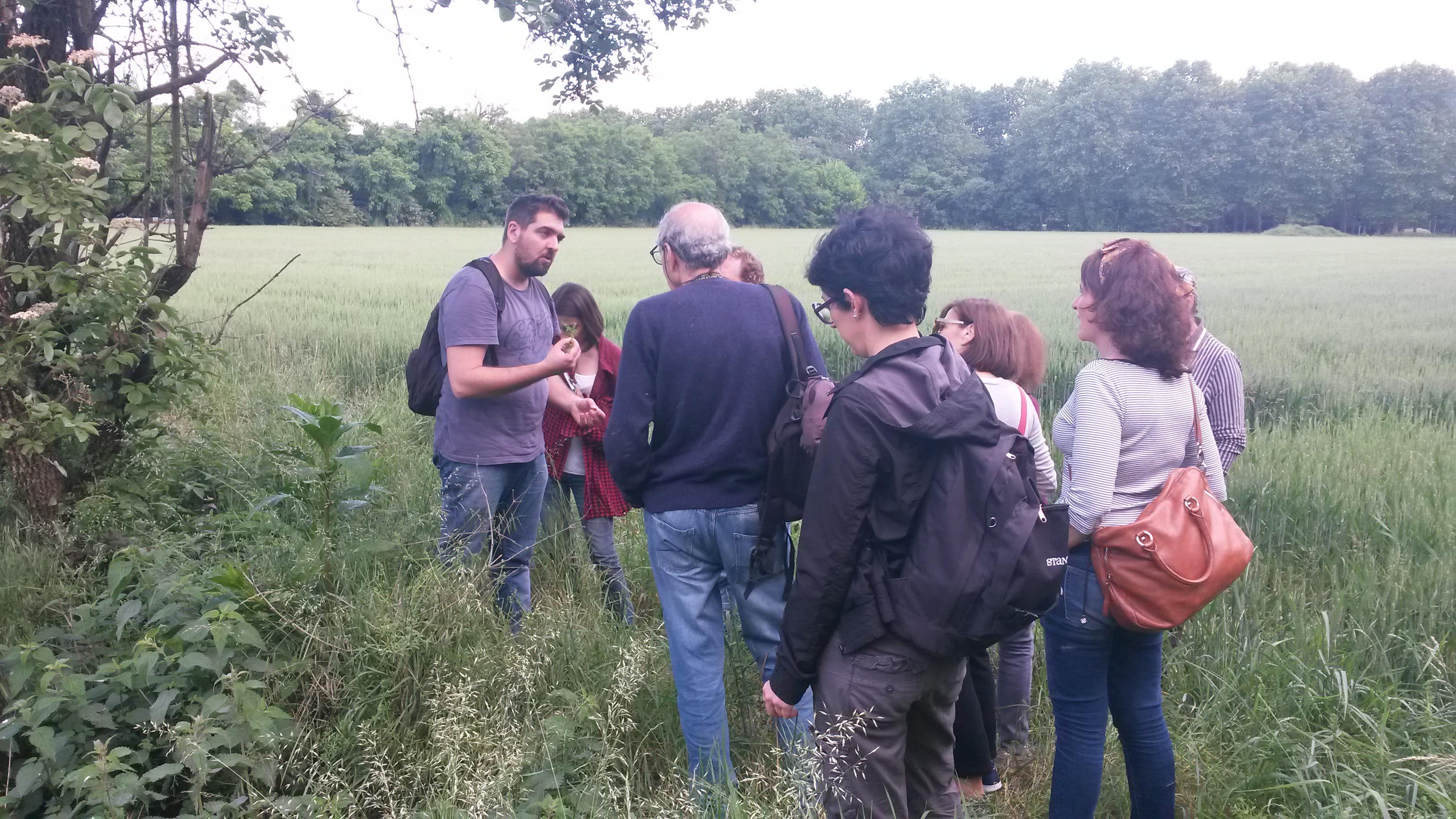 GreenCityMilanoLambrate6