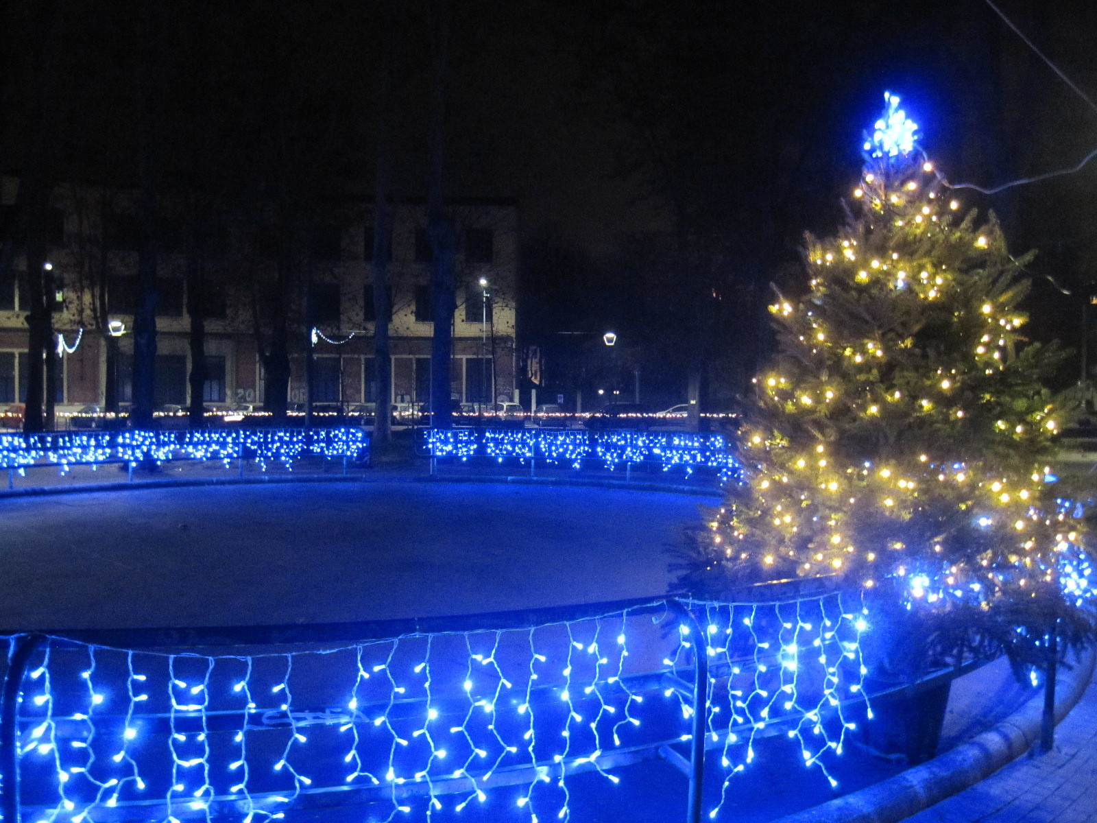 IMG_2933_6638d8efb9d6825d4b32ca83d4185ba9